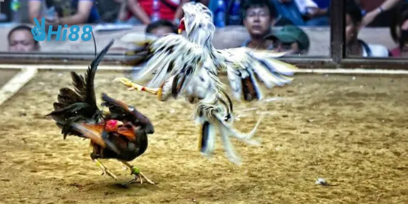 Tận hưởng trải nghiệm an toàn và tiện lợi tại HI88