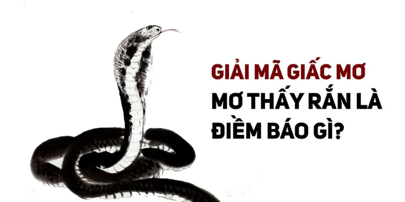 Ý nghĩa về tâm linh trong giấc mơ thấy rắn