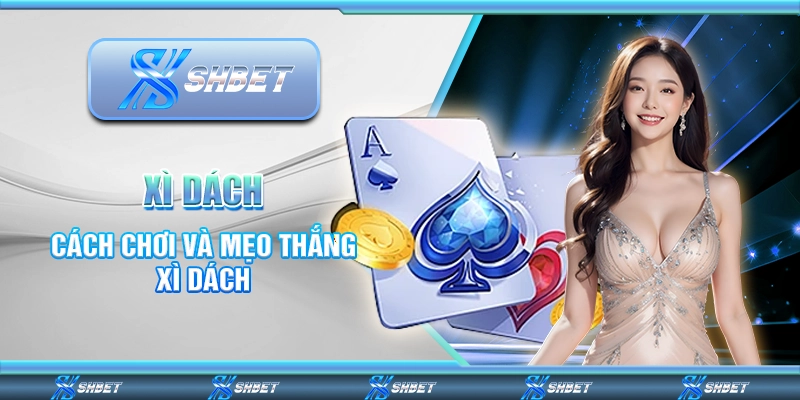 Xì Dách – Cách Chơi Và Mẹo Thắng Game Hiệu Quả Mỗi Ngày