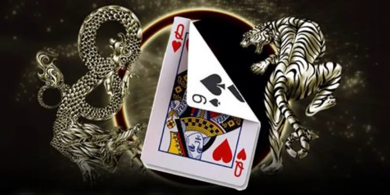 Những kiểu đặt cược cơ bản trong game Dragon Tiger
