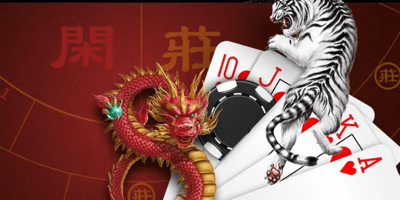 Phương pháp chơi Dragon Tiger giúp cải thiện tỷ lệ thắng